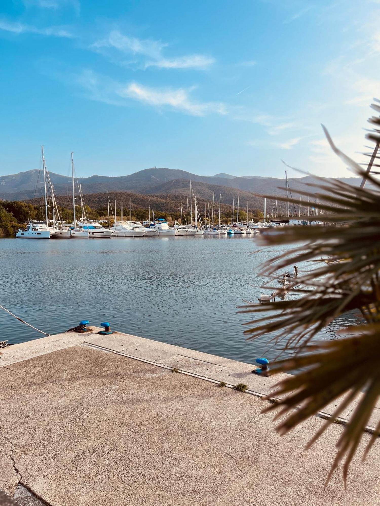 Hotel Le Nid Argelès-sur-Mer Esterno foto