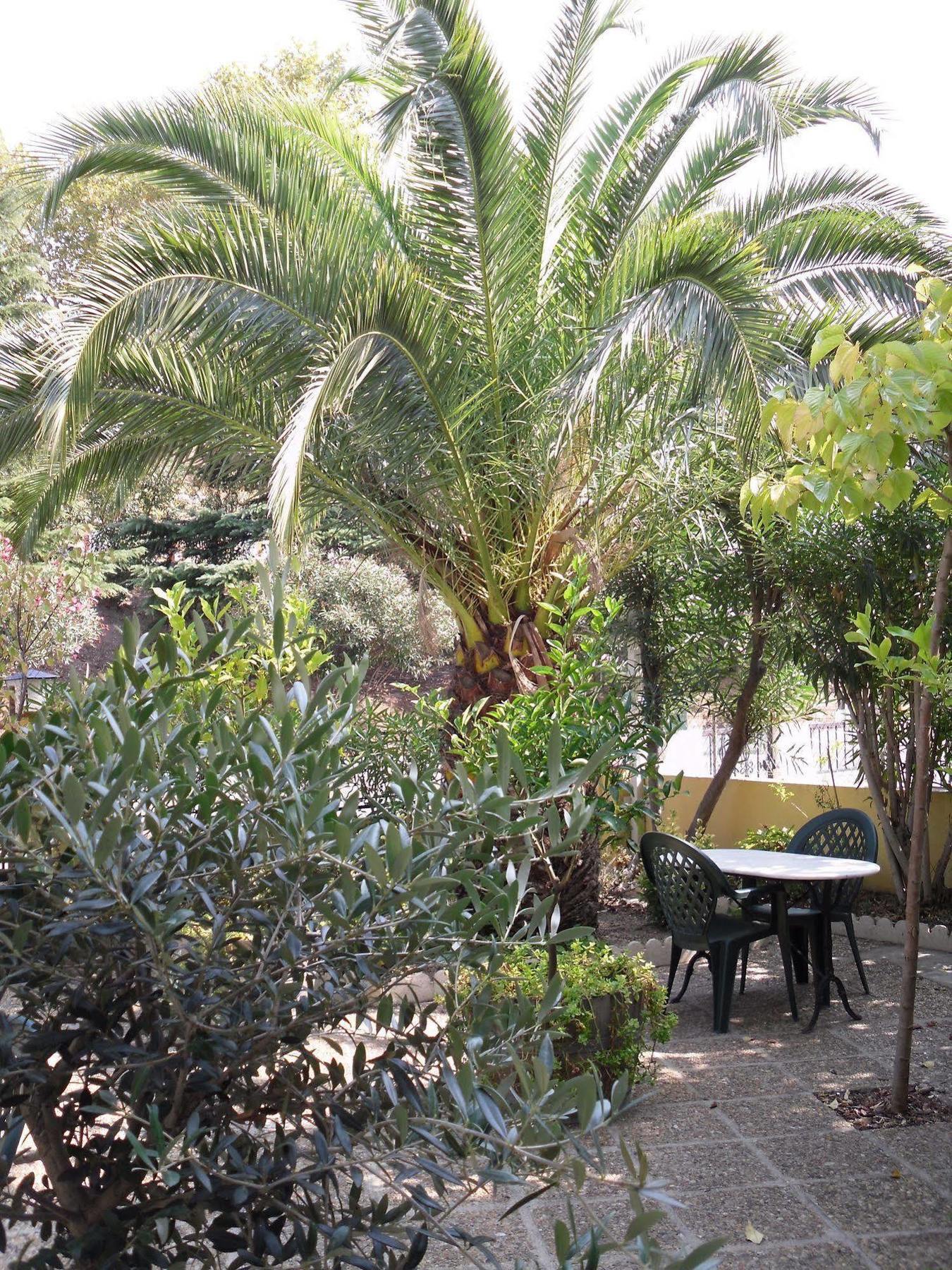 Hotel Le Nid Argelès-sur-Mer Esterno foto