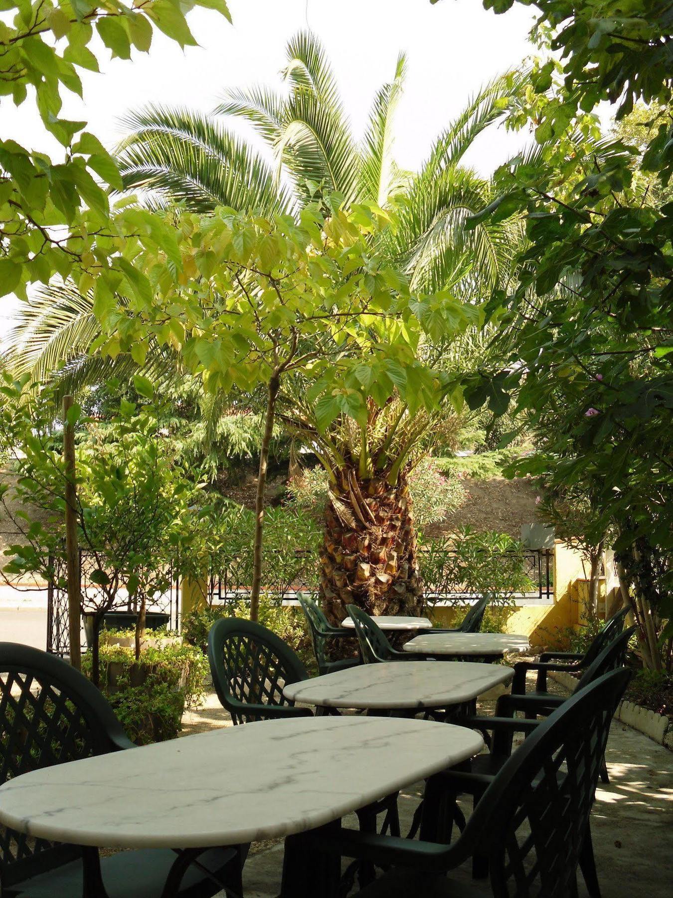 Hotel Le Nid Argelès-sur-Mer Esterno foto